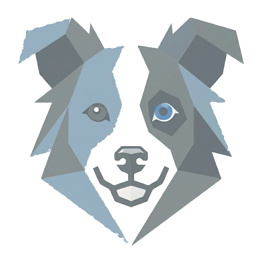 Collie
